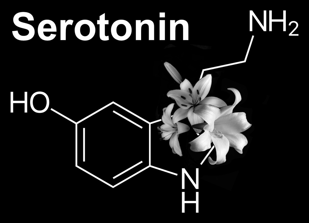 Молекула серотонина - 5-НТ