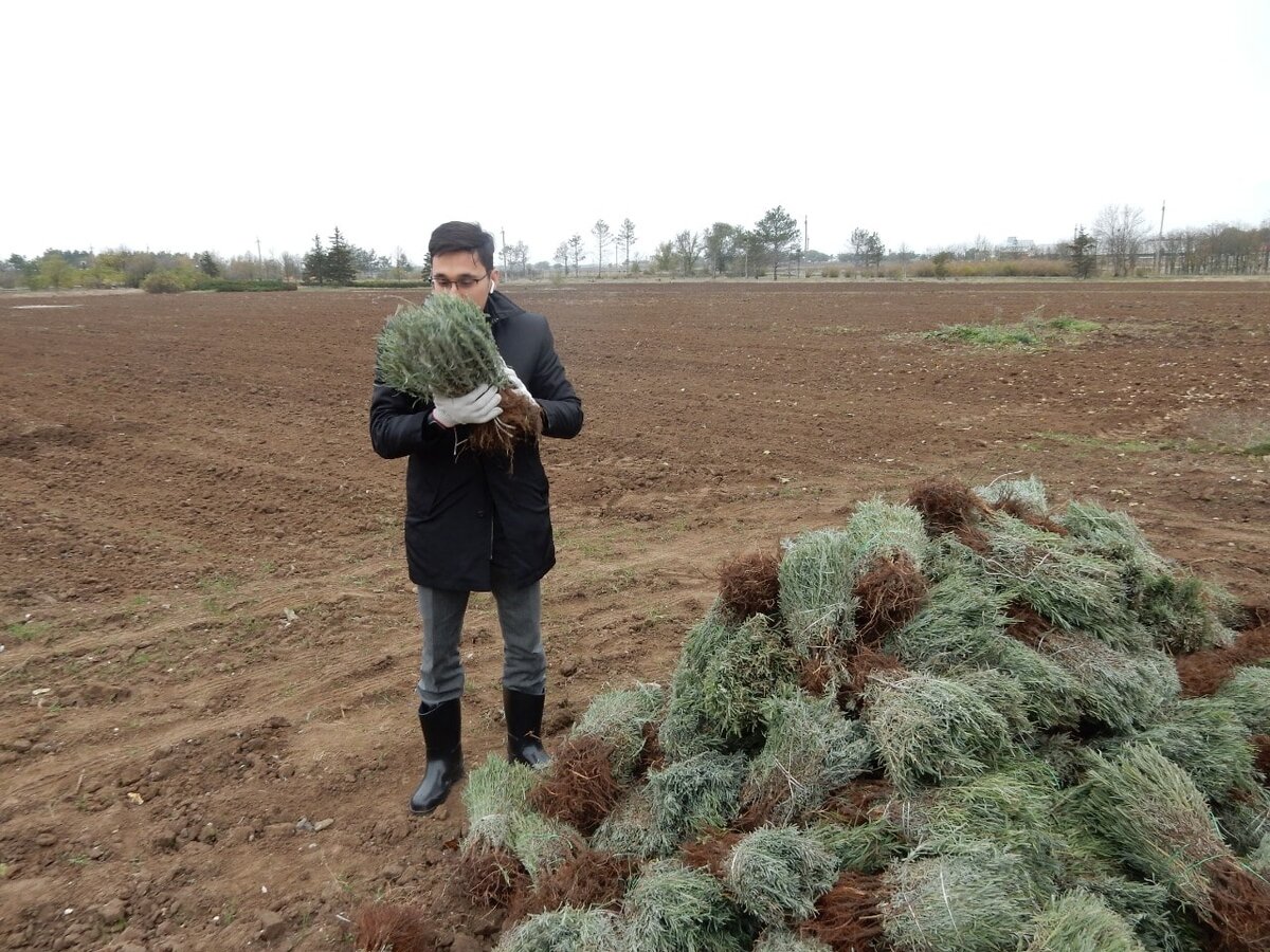 Фото: пресс-служба Министерства сельского хозяйства Республики Крым