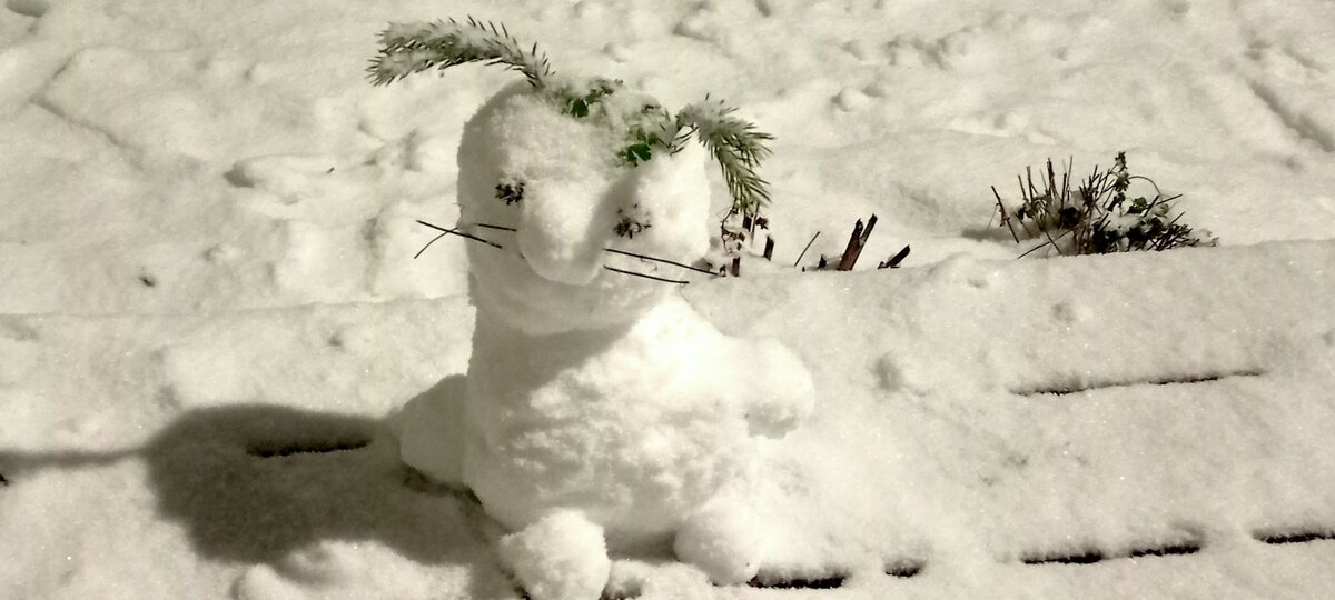 (Личное фото автора)