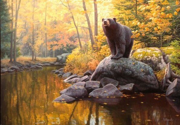 фото из яндекс.картинок