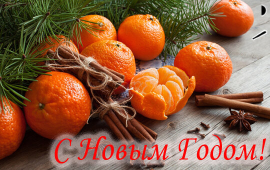 Наша новогодняя акция — для вас!