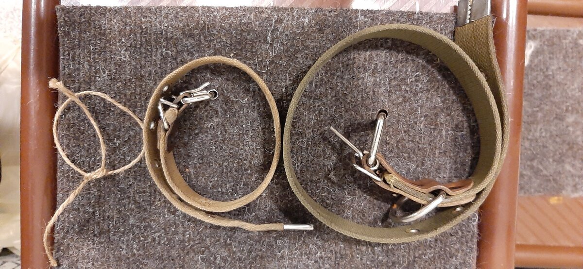 Три ошейника Дарика - веревочка, первый ошейник и ошейник сейчас