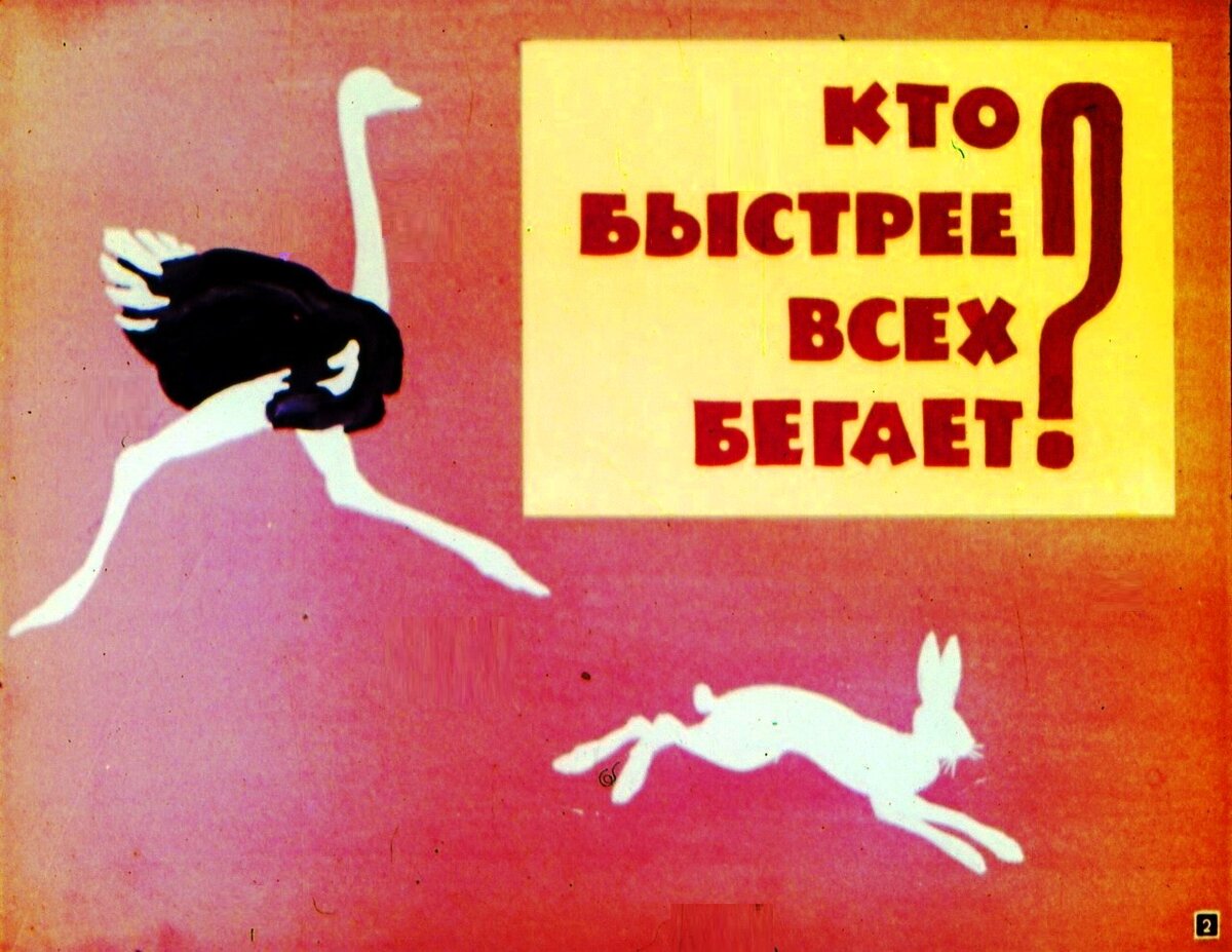 Пролистайте, пожалуйста, слайды в галерее