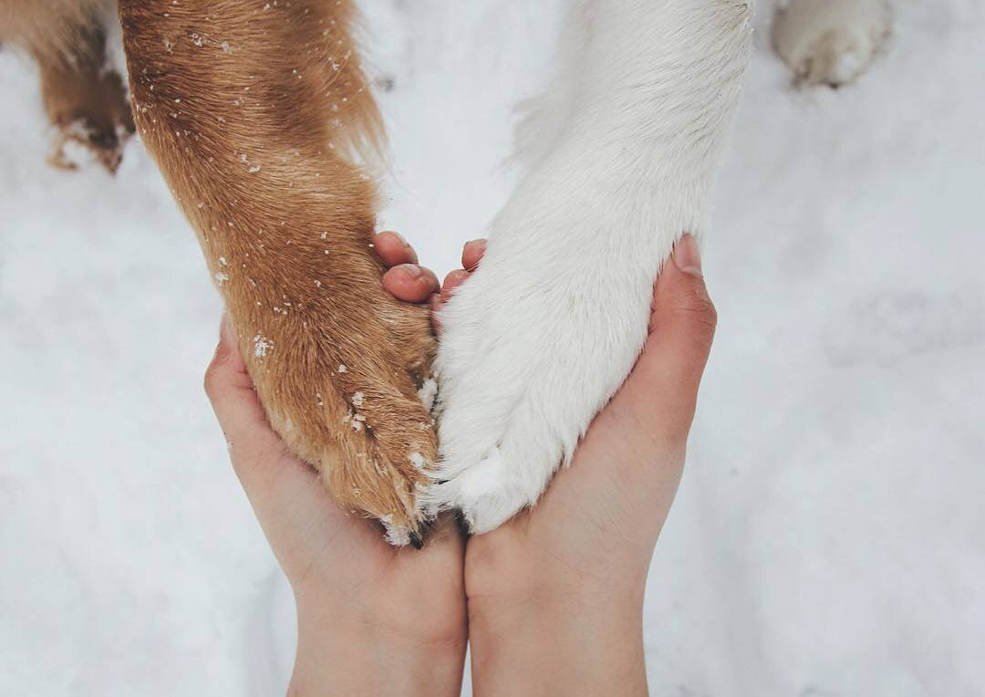 С сайта: legkopolezno.ru