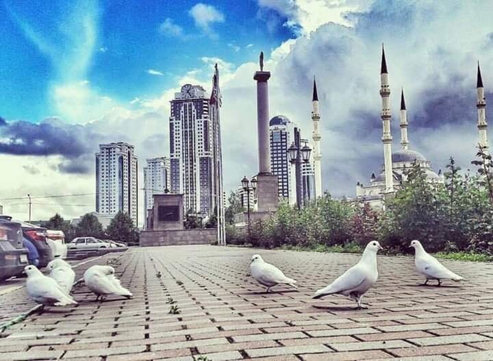 Площадь перед мечетью "Сердце Чечни" им. А-Х. Кадырова
