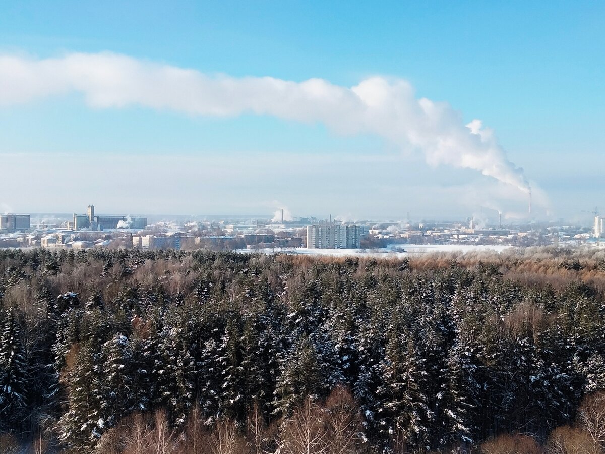 Фото Анастасии Петровой