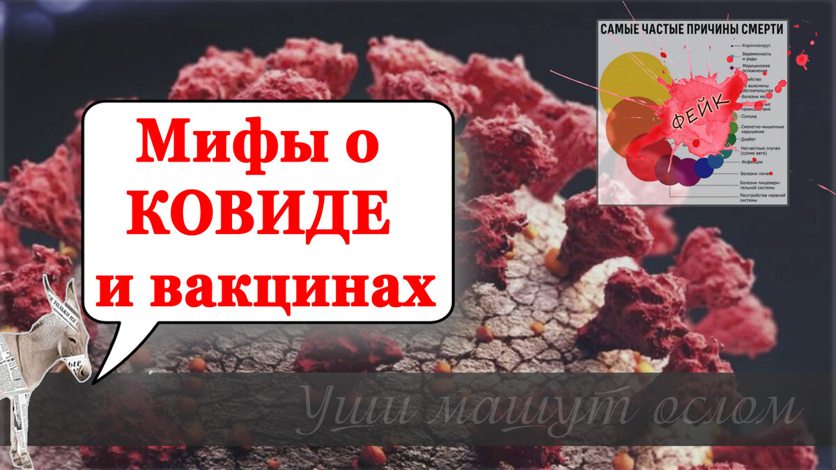 © Уши машут ослом, Матвейчев Олег