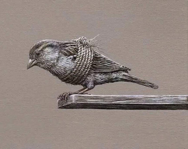 Если вы не годитесь для массового потребителя, учитесь летать со связанными крыльями...