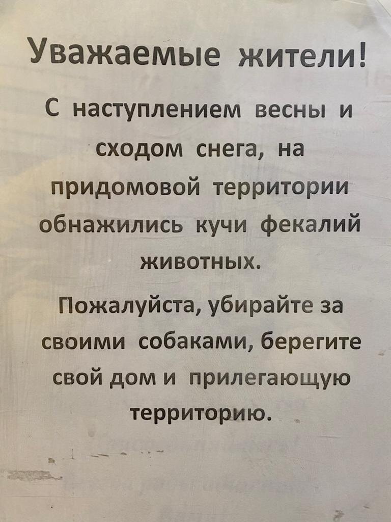 Собачникам из квартир пора начать платить за своих питомцев и резльтаты их  жизнедеятельности | Кухонные посиделки2 | Дзен