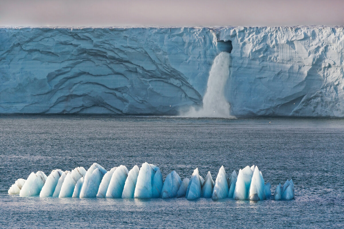 потепление уровень океана. таяние ледников полярные медведи. глобальное потепление мирового океана. изменение климата. потепление уровень океана.