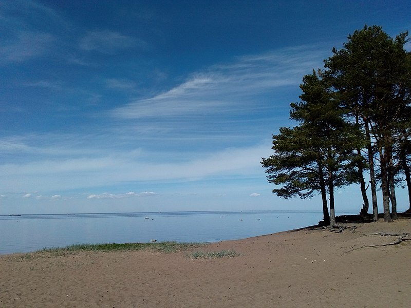 Лебяжье. Фото из свободных источников