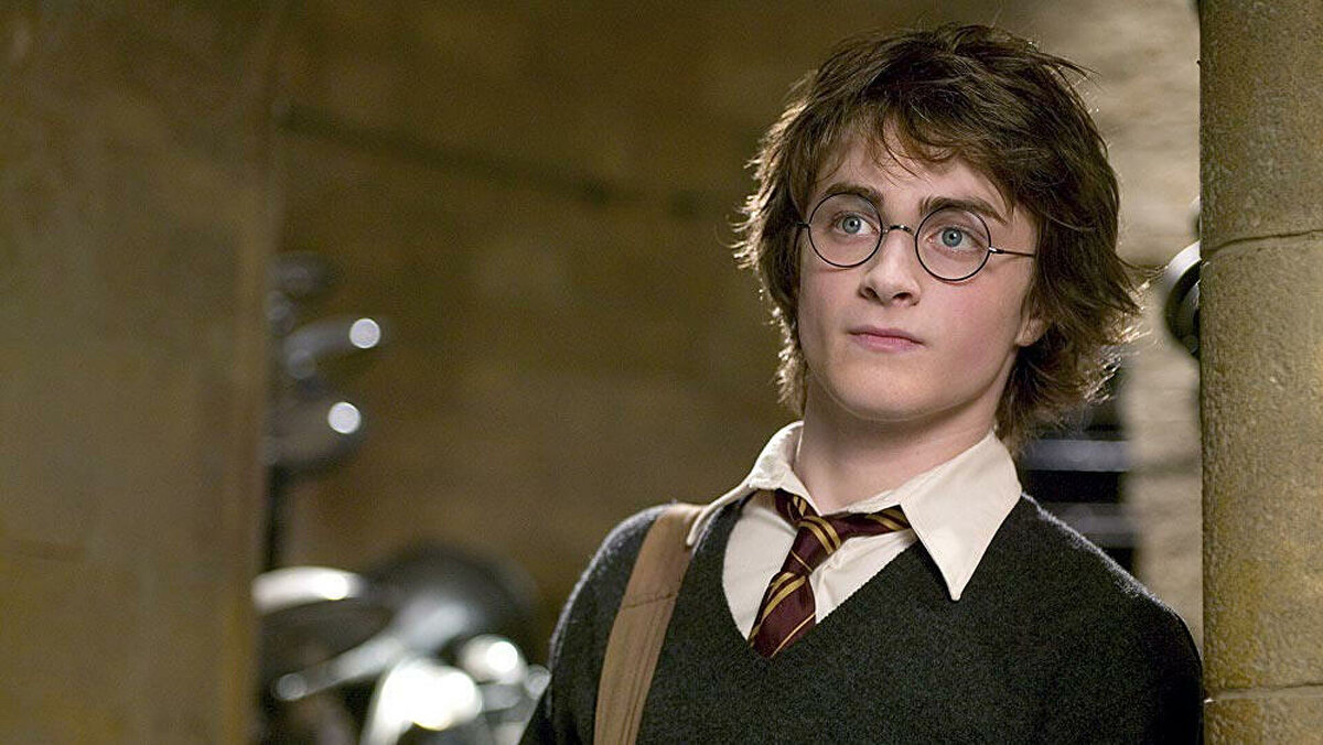 Гарри Поттер – всеми любимая вселенная, ставшая всемирной франшизой. Однако не всем на Reddit нравятся ее аспекты.