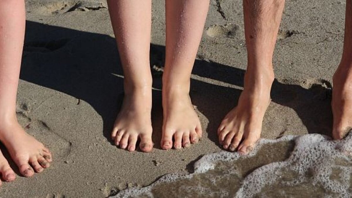 Фото: www.shutterstock.com