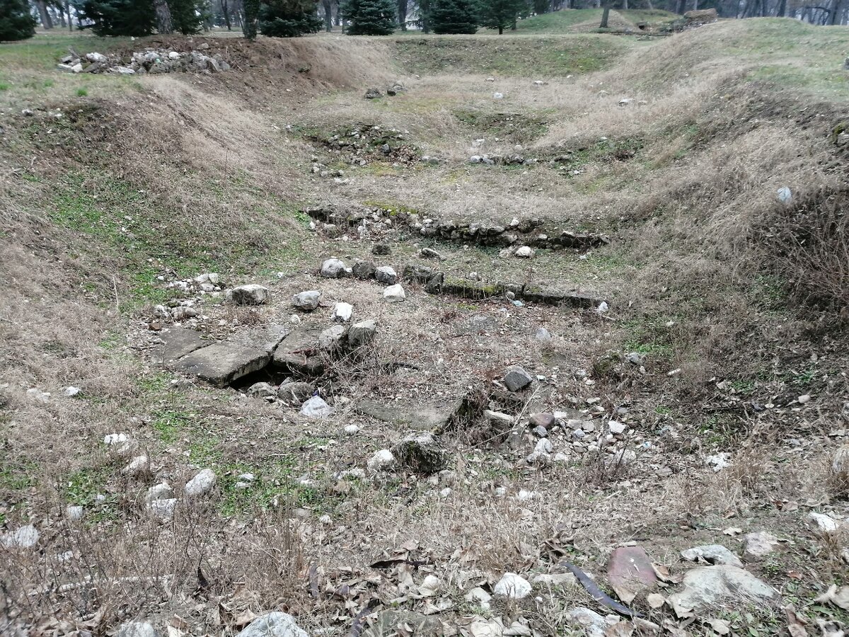 Январь 2020 года, фото автора.