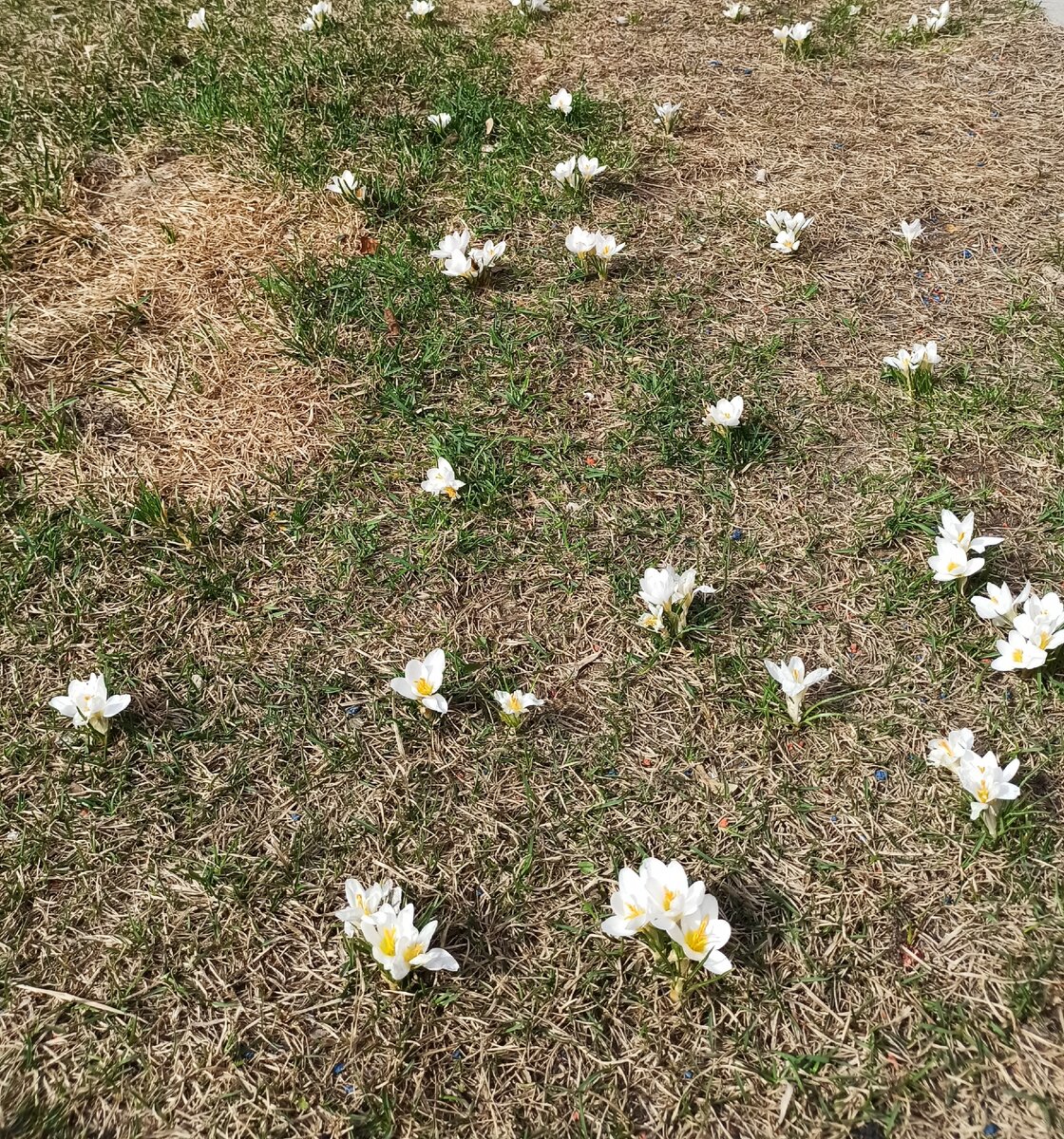 Наступила весна