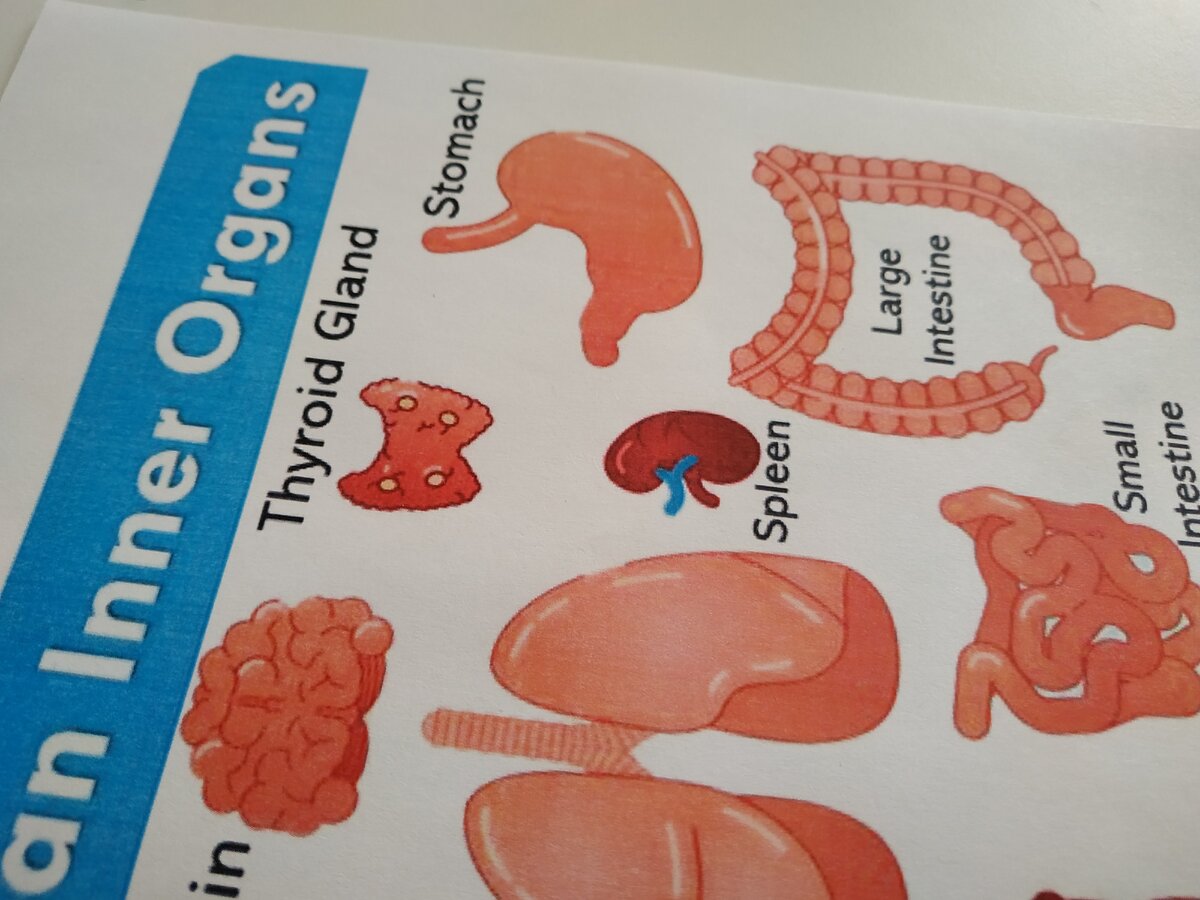 Автор фото: Дзен-канал SUPERMAMIO 