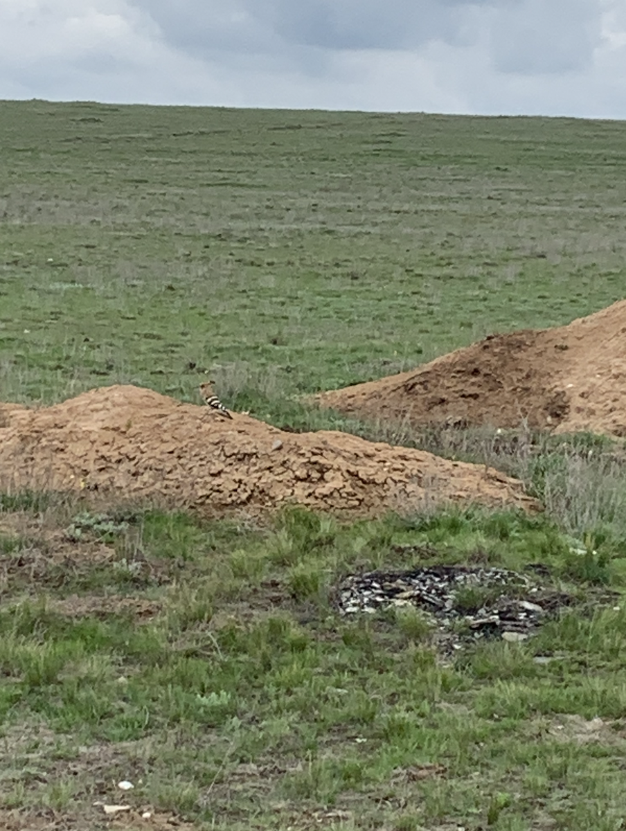 попробуйте его найти