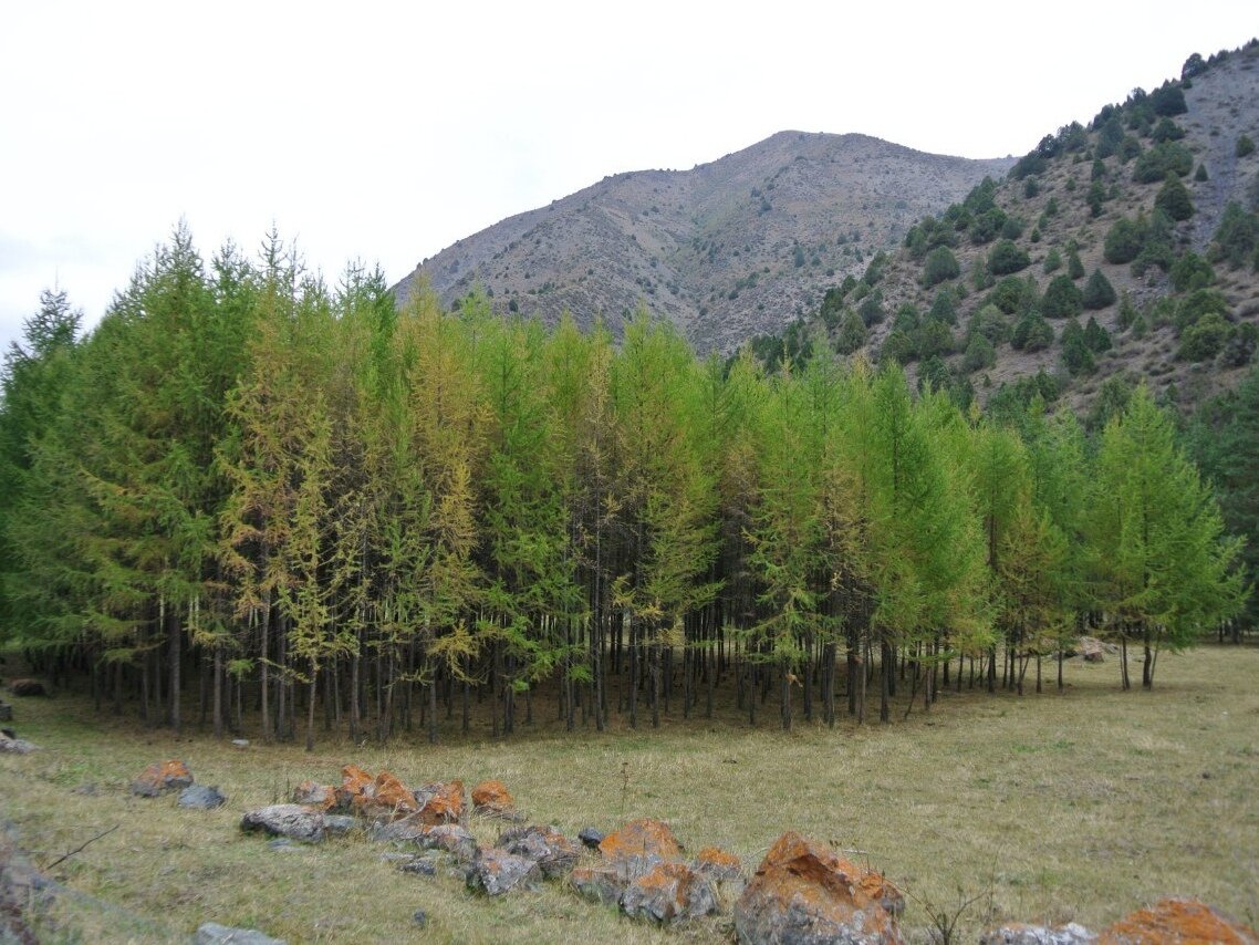 Где-то в горах Киргизии. Фото автора
