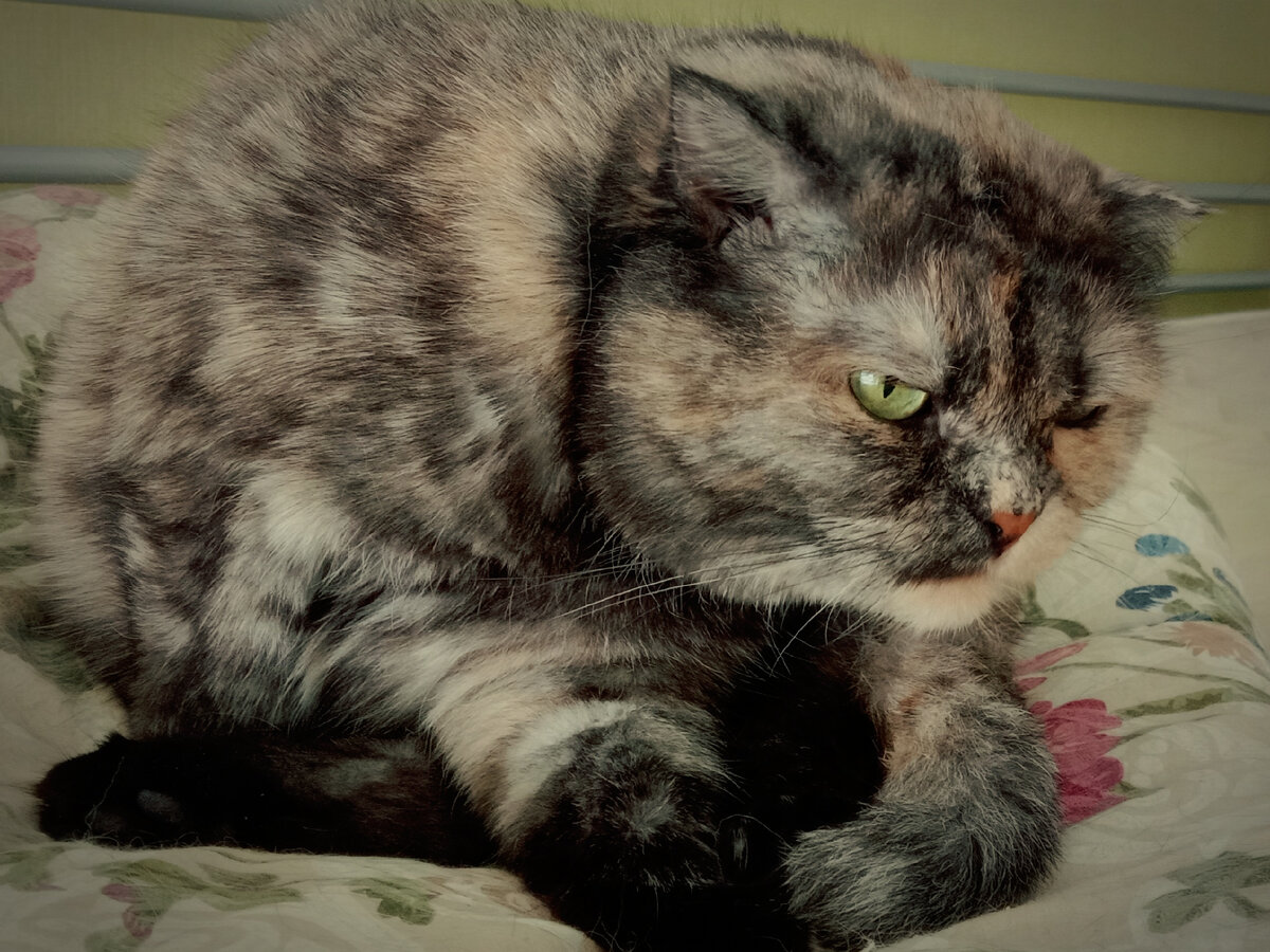 Тебя звали?