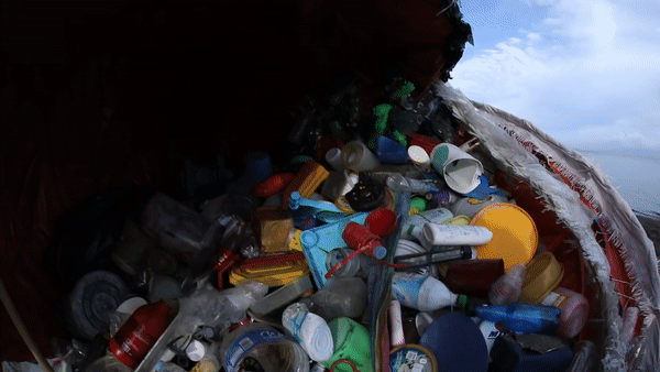 При создании скульптуры кита были использованы: пластиковые пакеты, части пластиковых контейнеров, пластиковые саше, бутылки и т.д