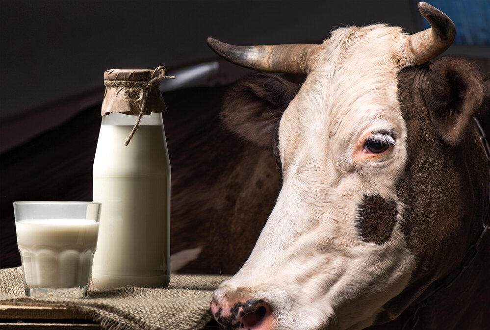 Какое молоко самое полезное? Эксперты Росконтроля рекомендуют!
