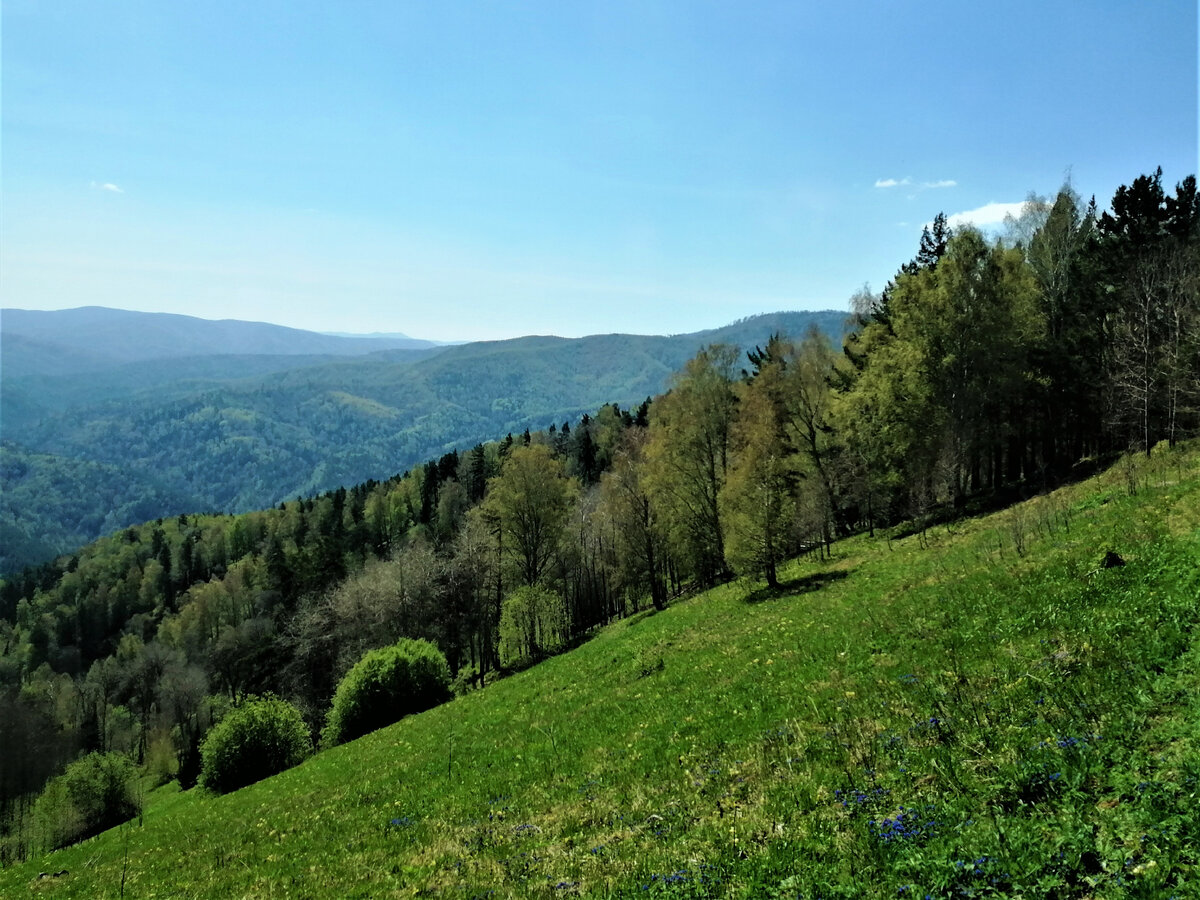 Пейзажи Алтай Белокуриха