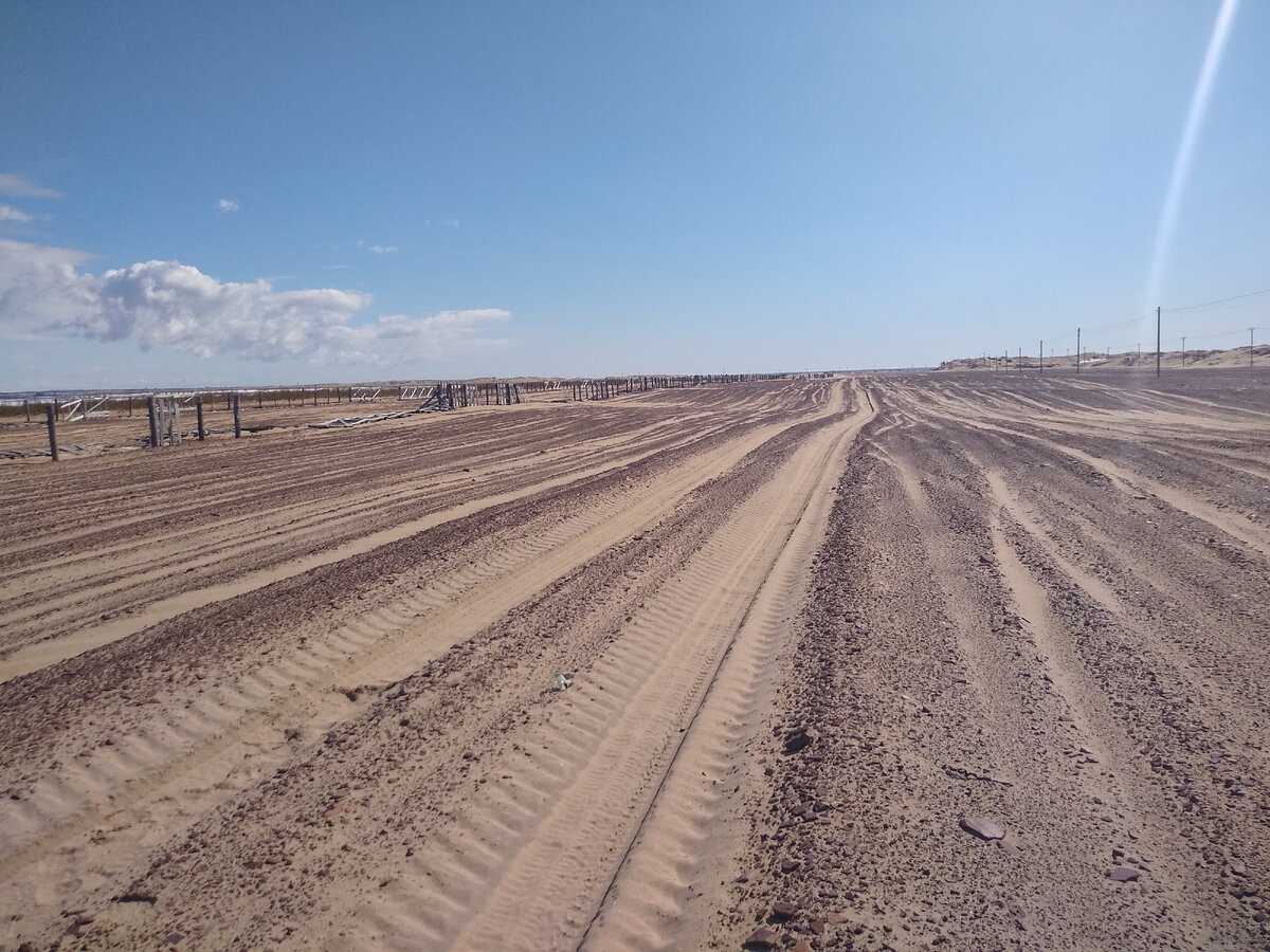 Дорога в Кузомень. Самая настоящая пустыня.