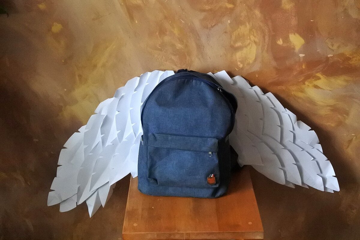 Собрать школьника в школу:рюкзак и крылья 😂