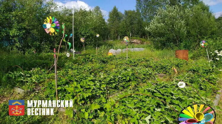 Фото: Ольга Алексеенко