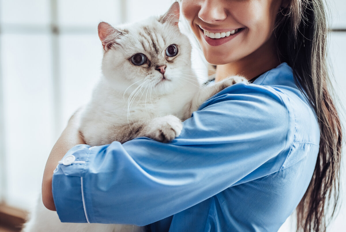 Ветеринарный врач-диетолог рассказывает о действии корма для кошек для профилактики мочекаменной болезни на примере корма Winner. Что такое мочекаменная болезнь у кошки?