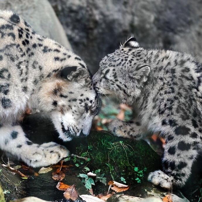 Фотография сделана на одном из высокогорном холме.