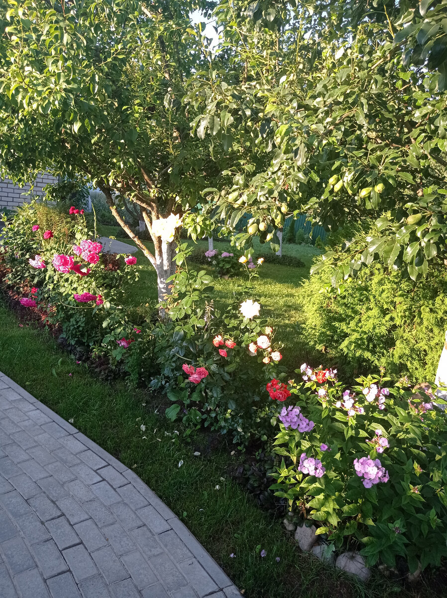 У мамы в гостях