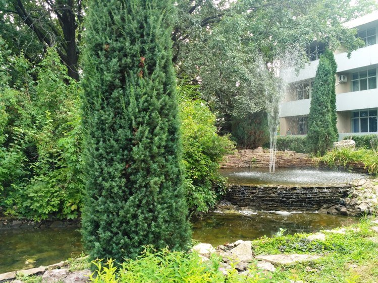 Фото автора статьи