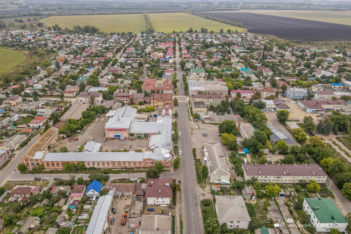 Павловск — маленький Петербург на юге от Москвы. Поехали разбираться, так  ли это | ЖЖитель: путешествия и авиация | Дзен