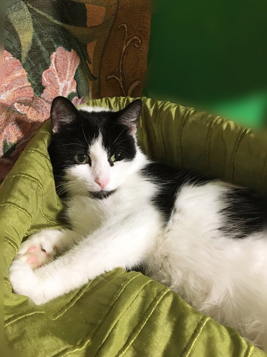 Фаина тоже любит покушать...