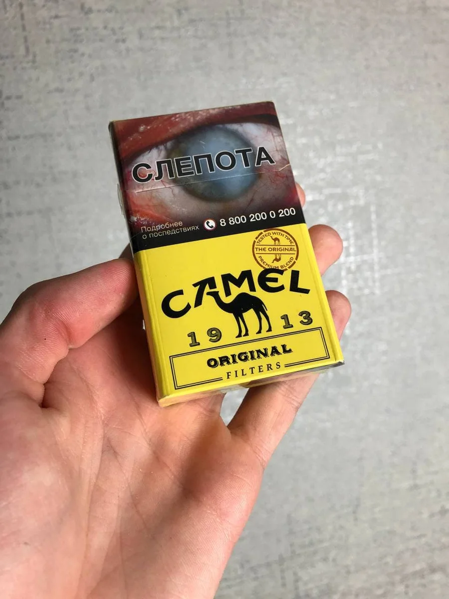 Camel original shop