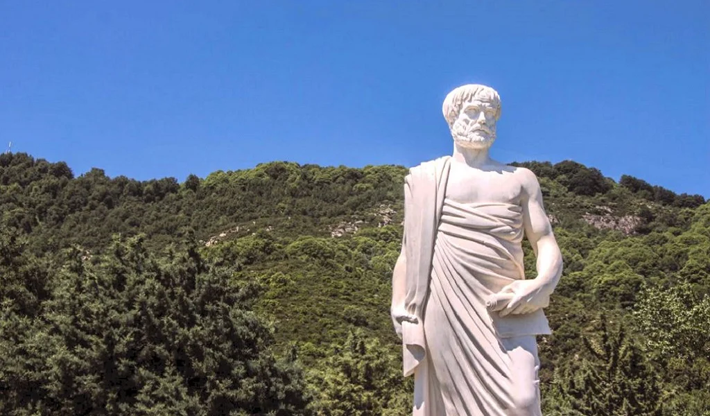 фото из интернета