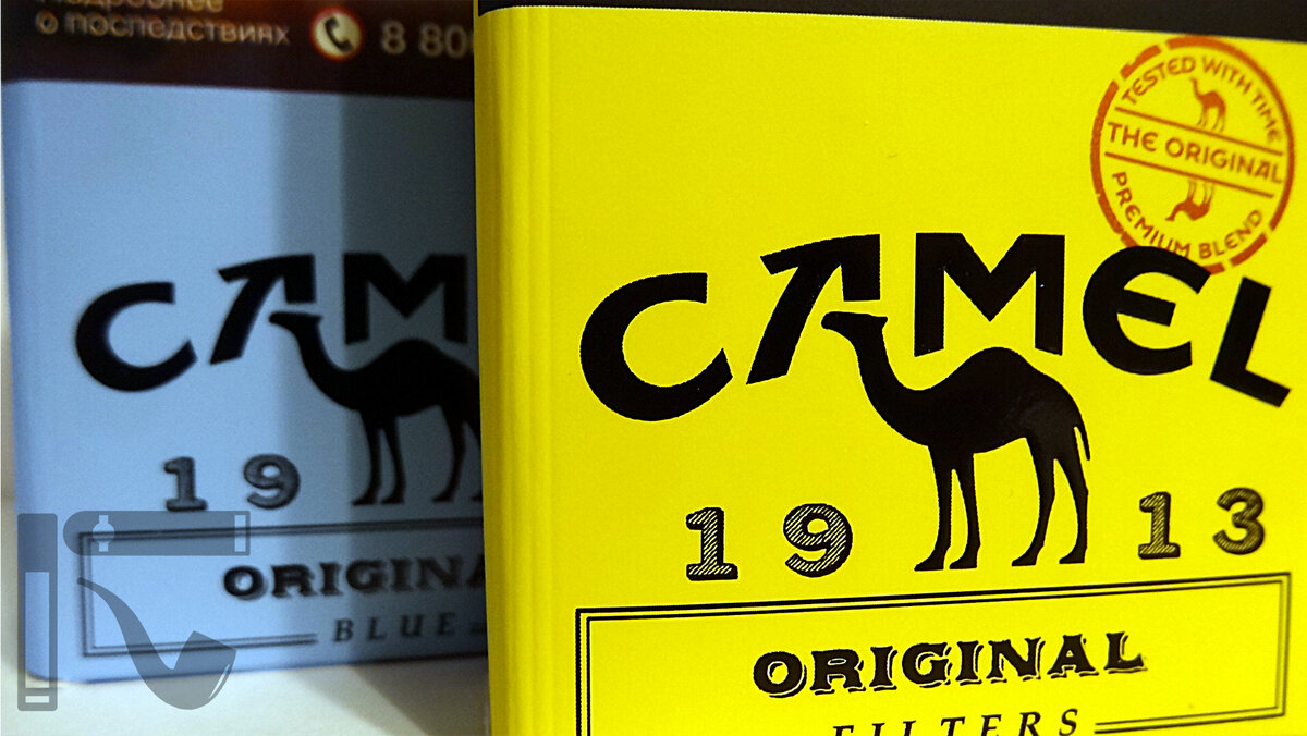 Кэмл компакт. Кэмел 1913 желтый. Сигареты кэмел желтый 2023. Кэмел компакт оригинал. Сигареты кэмел оригинал желтый (Camel Original Filters).