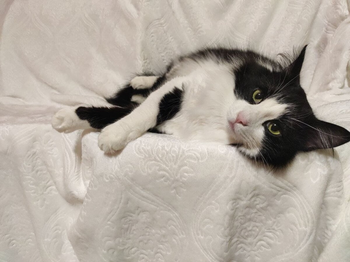 Фото автора. Фима