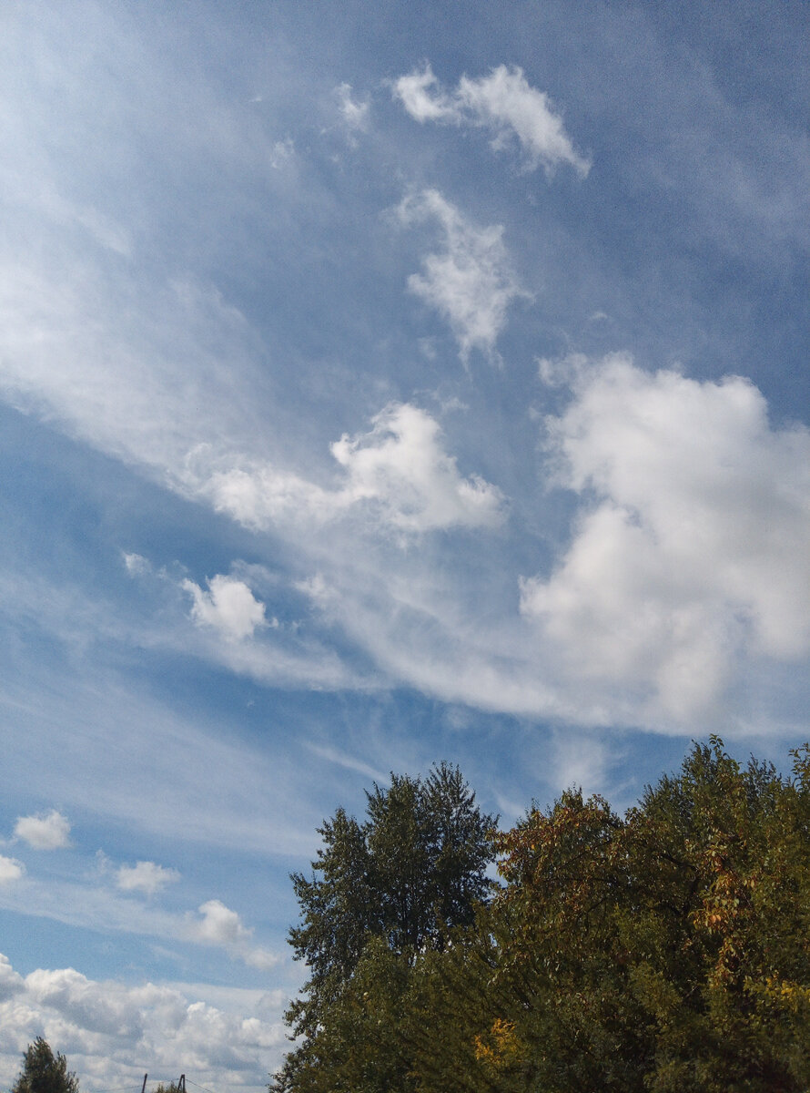 Чистого вам неба! Фото автора 