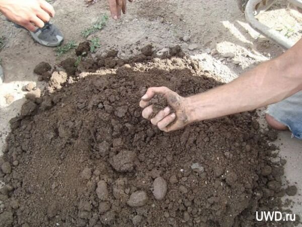 Плюсы и минусы жизни в доме из мешков с землей