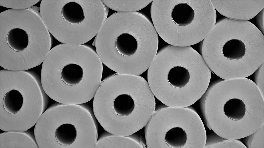 Практически никто никогда не сохраняет втулки от туалетной бумаги. Фото: Pixabay