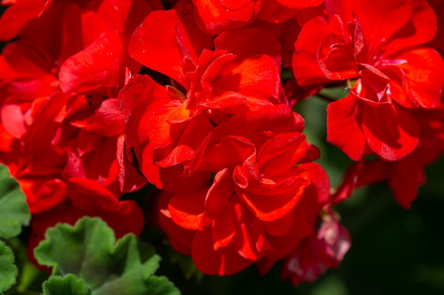 Фото для иллюстрации статьи с сайта Pixabay.com