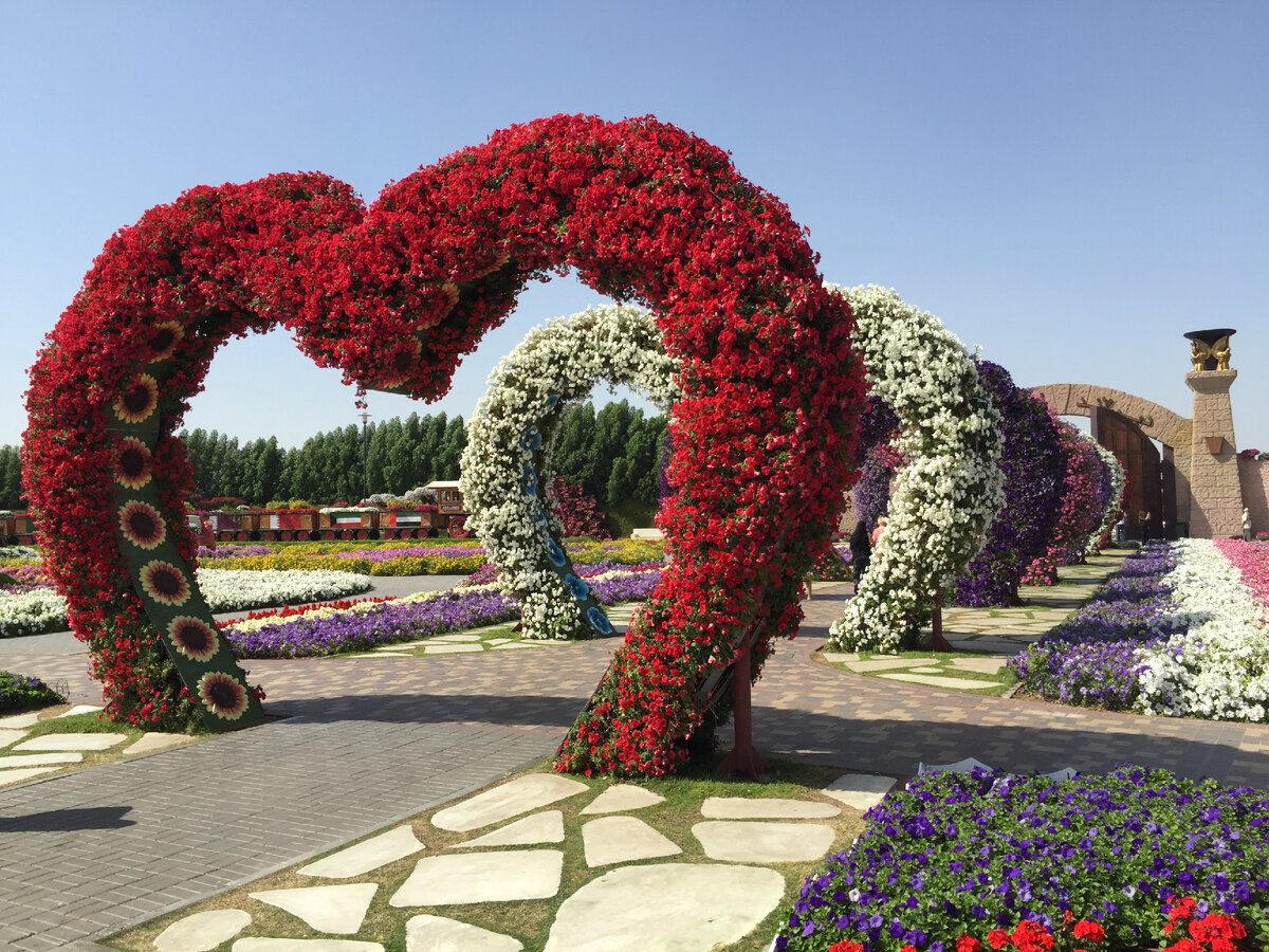 Парк цветов Dubai Miracle Garden