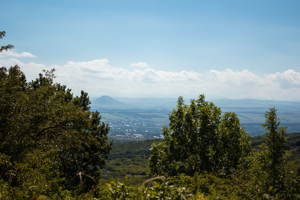 https://unsplash.com/photos/s0qp2ljSzAY