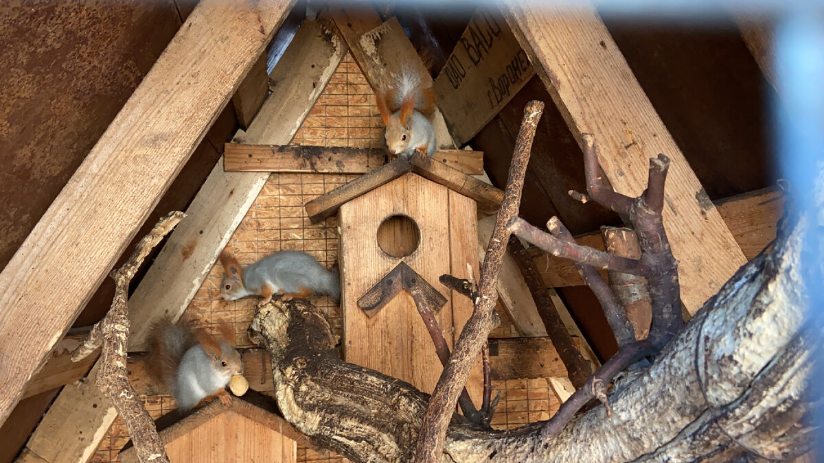 Небольшой кусок домика внутри 