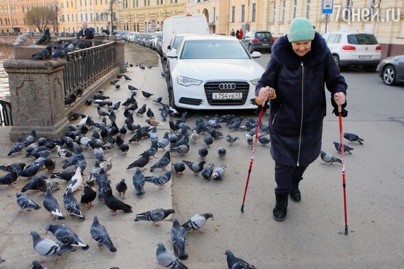     Zamir Usmanov/Global Look Press/globallookpress.com