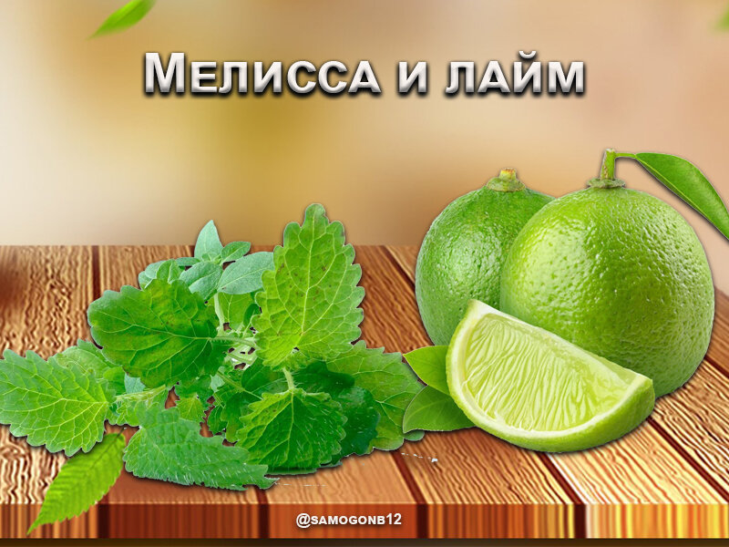 Мелиса и лайм. Коллаж ©