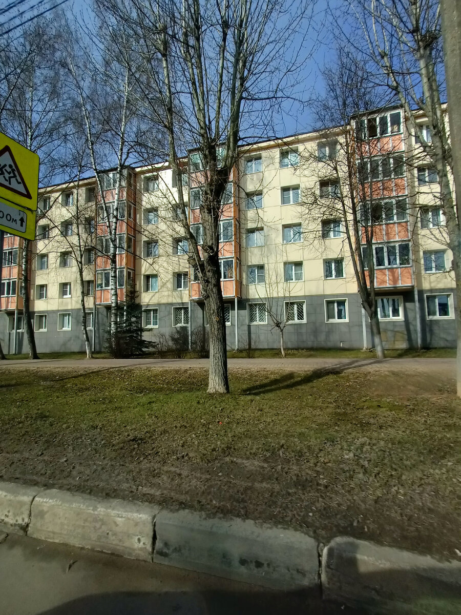 Дома на одной из улиц города Чехова