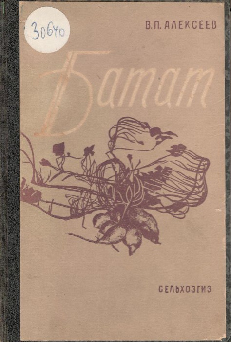 Фото из открытого источника. В.П. Алексеев — «Батат» (1932 год)